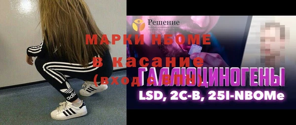 гашик Семилуки