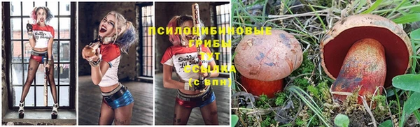 MESCALINE Богородицк