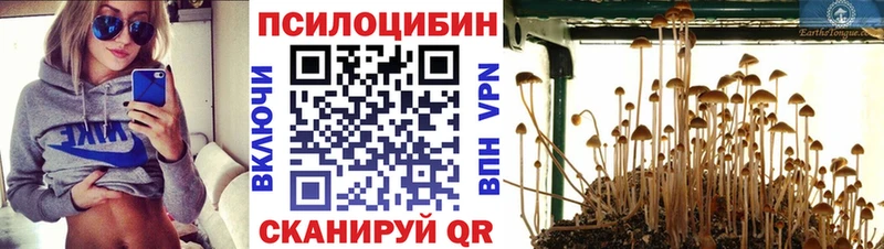Галлюциногенные грибы Psilocybine cubensis  Мегион 